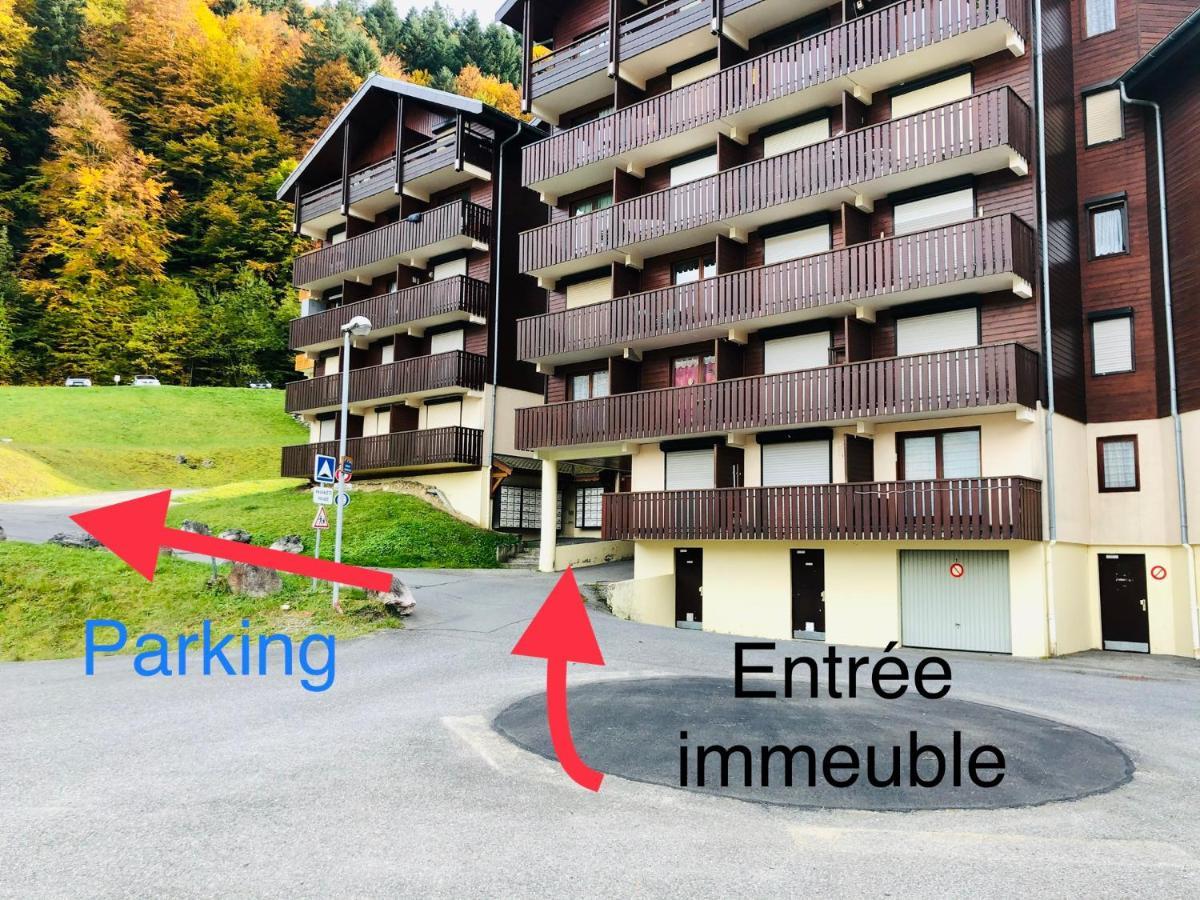 Studio 4 Personnes A 80M Des Pistes De Ski Saint-Jean-dʼAulps 외부 사진